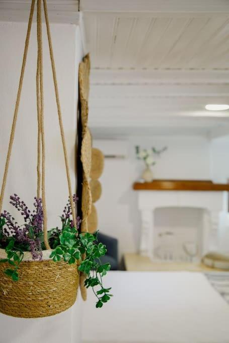 Yard- Family Retreat Apartment Corinth Luaran gambar